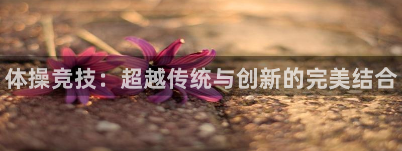 沐鸣网站