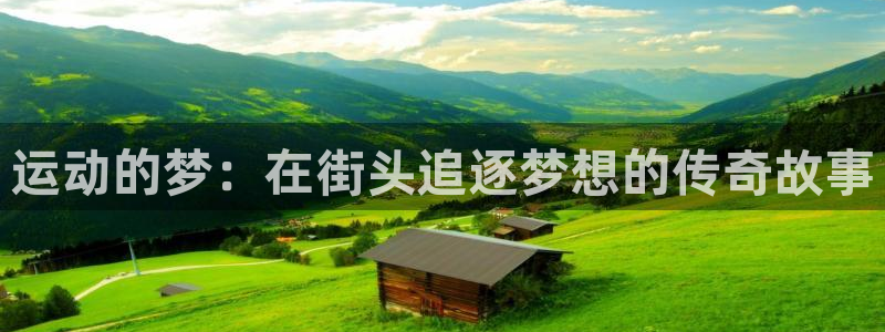 沐鸣体育网页版入口