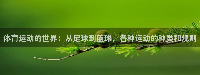 沐鸣3官网