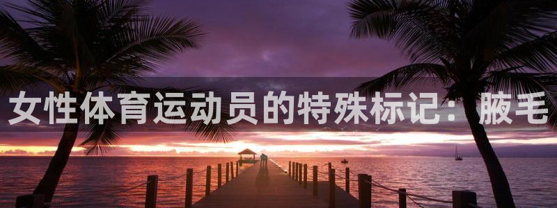 沐鸣体育代理