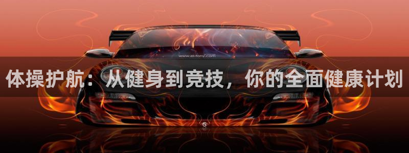 上海沐鸣汽车电子有限公司