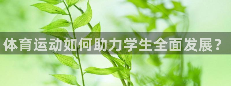 沐鸣2官方登录