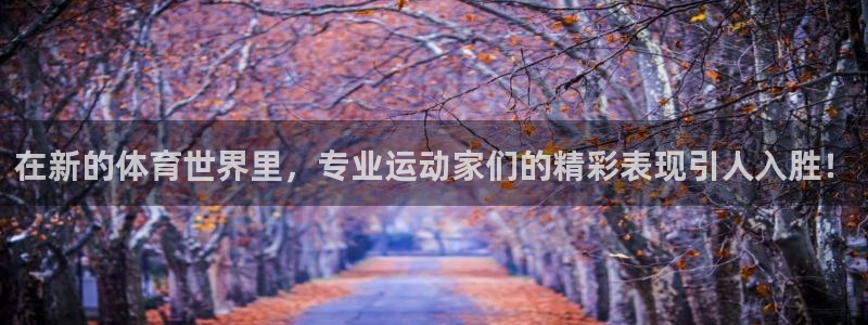 沐鸣2招商