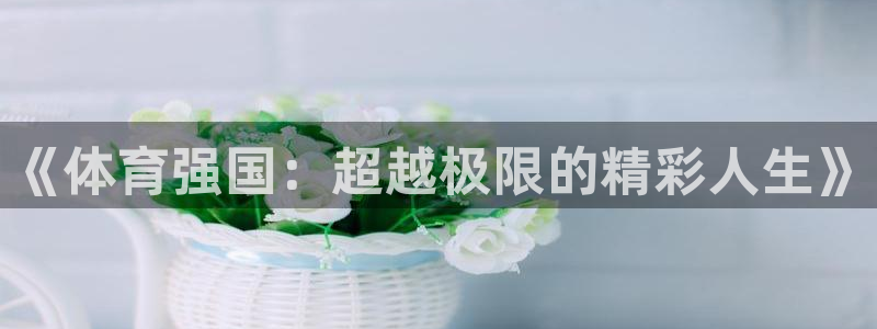 沐鸣4官网