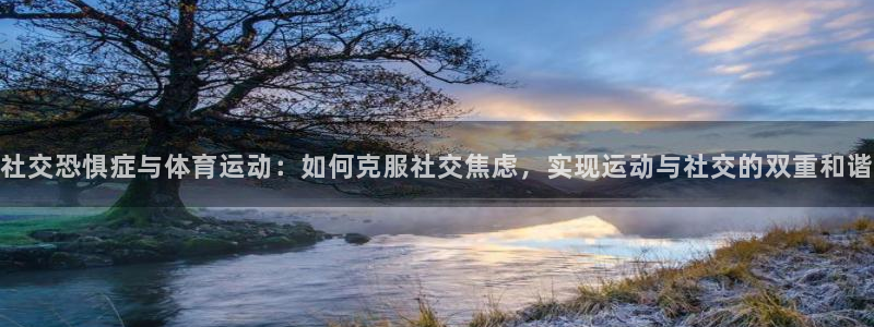 上海沐鸣汽车电子有限公司
