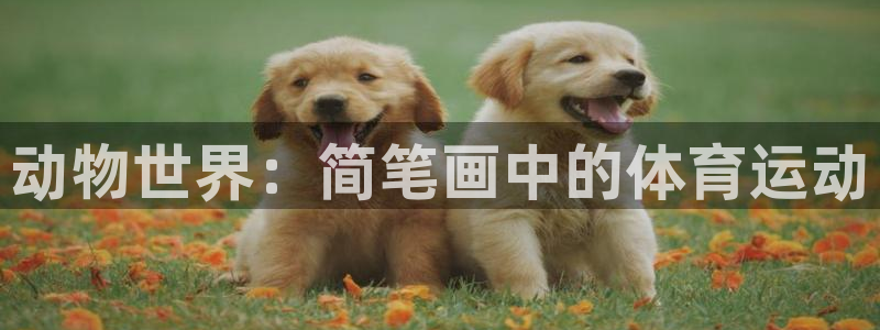 沐鸣集团