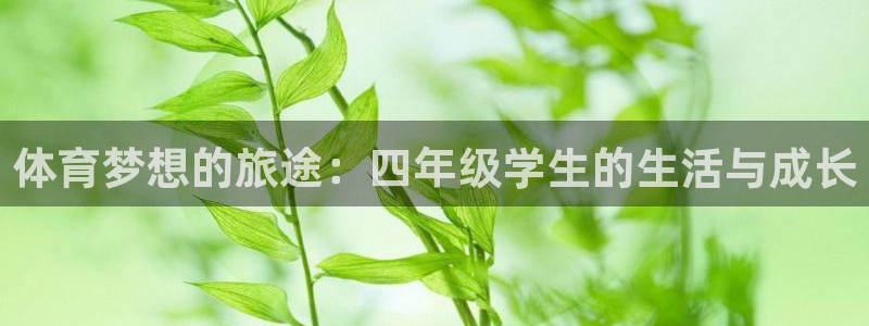 沐鸣体育f开户