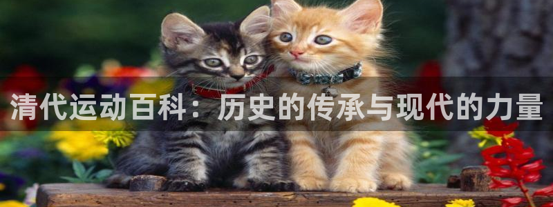 沐鸣f凯捷注册