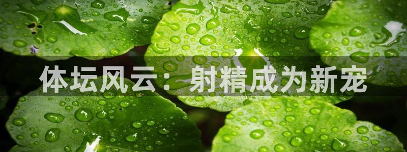沐鸣4平台注册