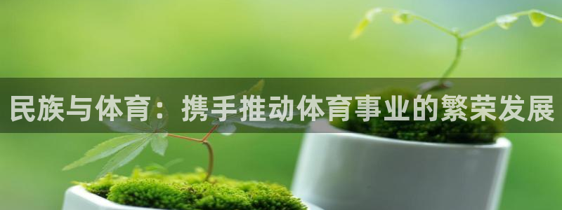 沐鸣2代理注册