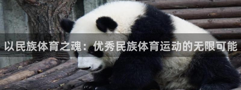 沐鸣app下载地址