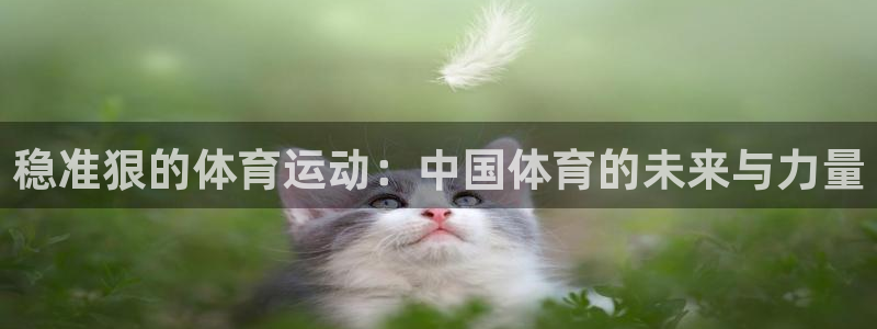 沐鸣代理注册官网入口