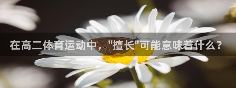 沐鸣凯捷平台注册链接