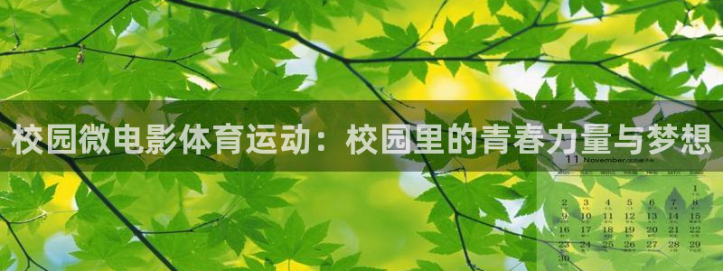 沐鸣体育4