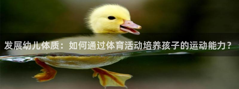 上海沐鸣汽车电子有限公司