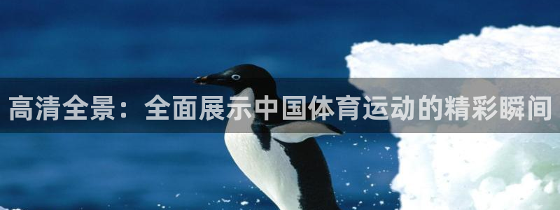 沐鸣app下载地址